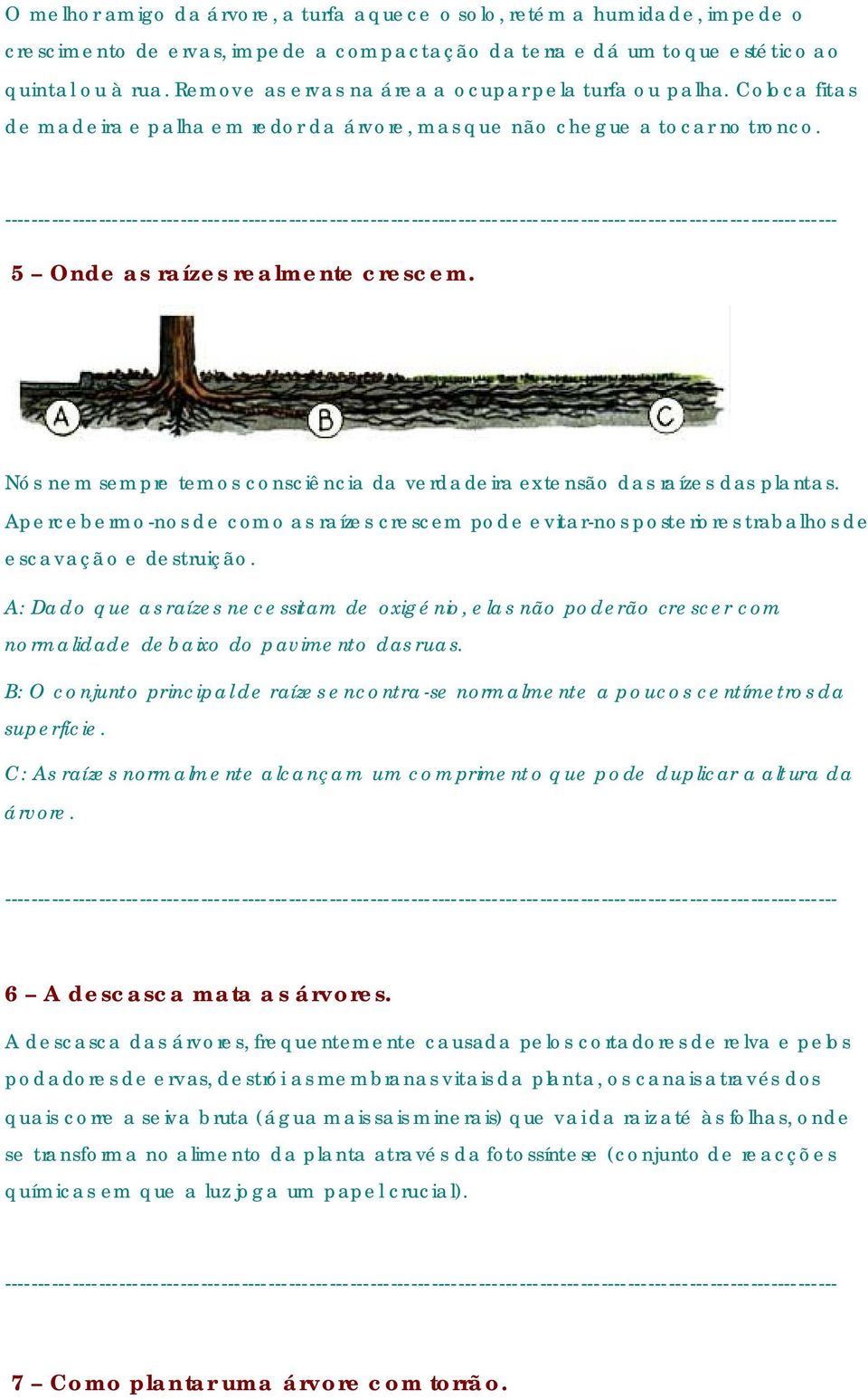 Nós nem sempre temos consciência da verdadeira extensão das raízes das plantas. Apercebermo-nos de como as raízes crescem pode evitar-nos posteriores trabalhos de escavação e destruição.