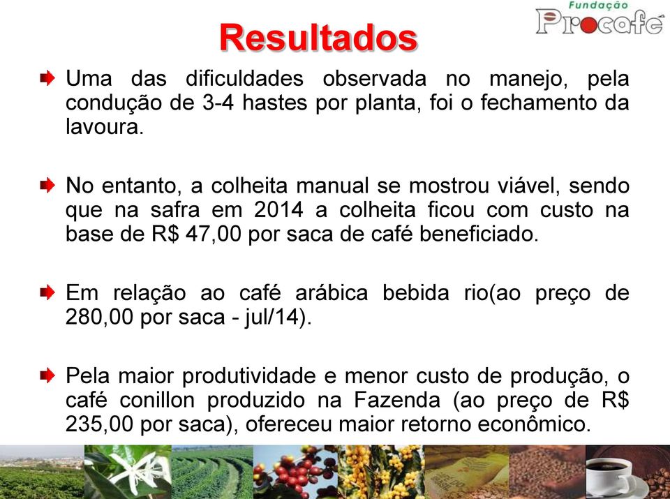 saca de café beneficiado. Em relação ao café arábica bebida rio(ao preço de 280,00 por saca - jul/14).