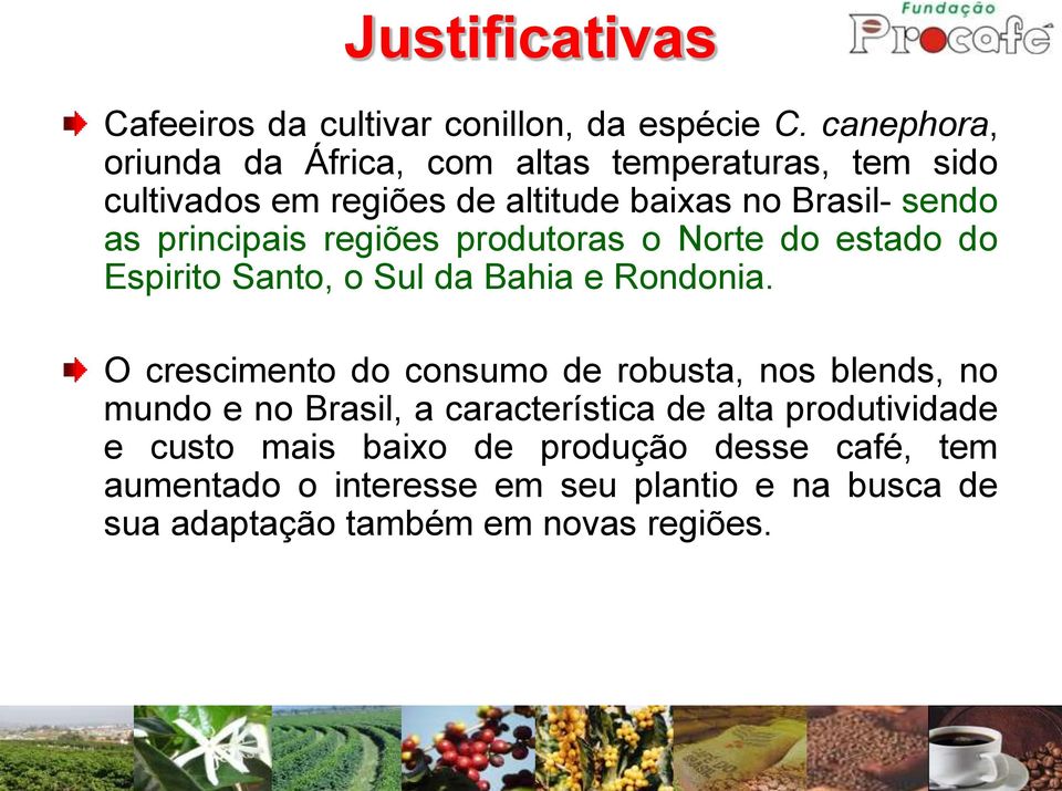 principais regiões produtoras o Norte do estado do Espirito Santo, o Sul da Bahia e Rondonia.