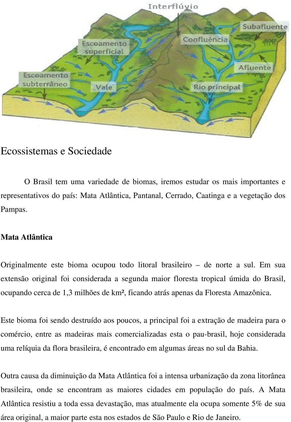 Em sua extensão original foi considerada a segunda maior floresta tropical úmida do Brasil, ocupando cerca de 1,3 milhões de km², ficando atrás apenas da Floresta Amazônica.