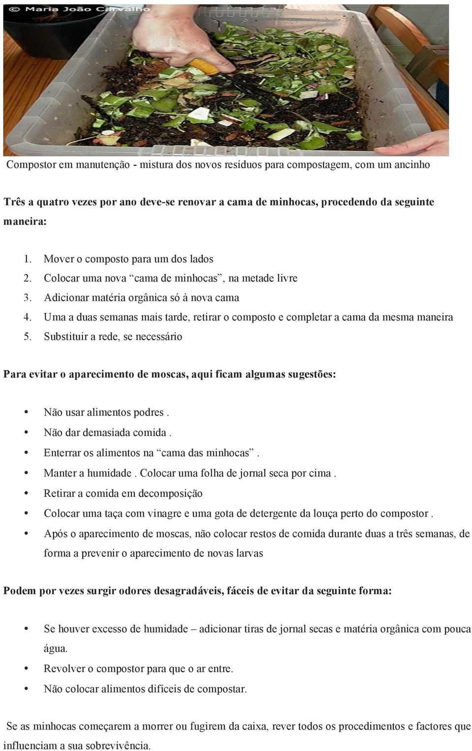 Uma a duas semanas mais tarde, retirar o composto e completar a cama da mesma maneira 5.