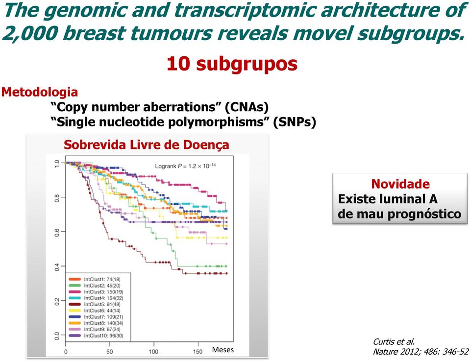 10 subgrupos Metodologia Copy number aberrations (CNAs) Single nucleotide
