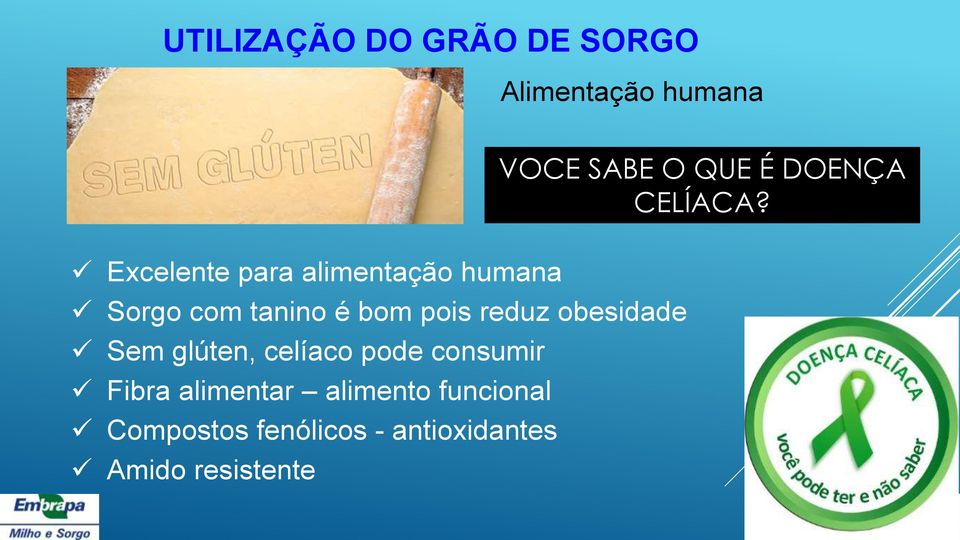 glúten, celíaco pode consumir Fibra alimentar alimento funcional