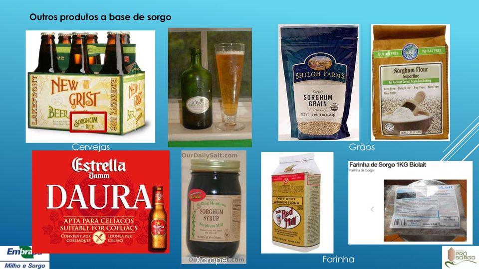 Cervejas Grãos