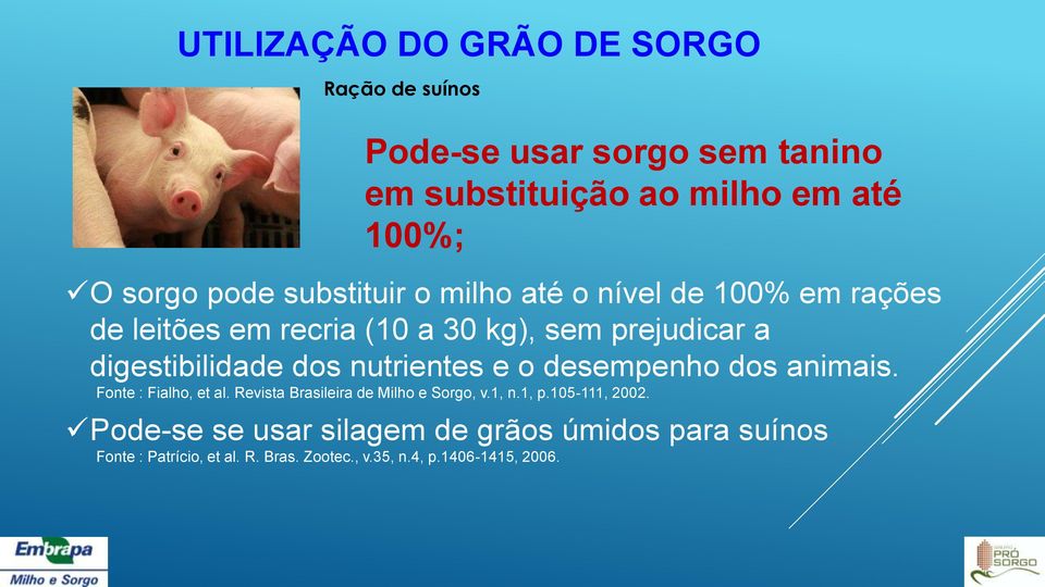 dos nutrientes e o desempenho dos animais. Fonte : Fialho, et al. Revista Brasileira de Milho e Sorgo, v.1, n.1, p.