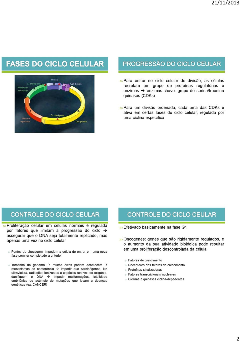 DNA seja totalmente replicado, mas apenas uma vez no ciclo celular o Pontos de checagem: impedem a célula de entrar em uma nova fase sem ter completado a anterior o Tamanho do genoma muitos erros