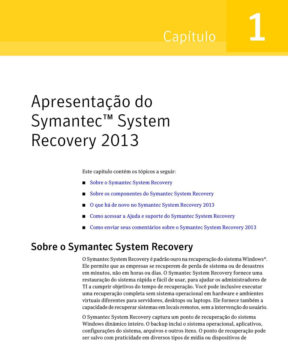 Symantec System Recovery é padrão ouro na recuperação do sistema Windows. Ele permite que as empresas se recuperem de perda de sistema ou de desastres em minutos, não em horas ou dias.