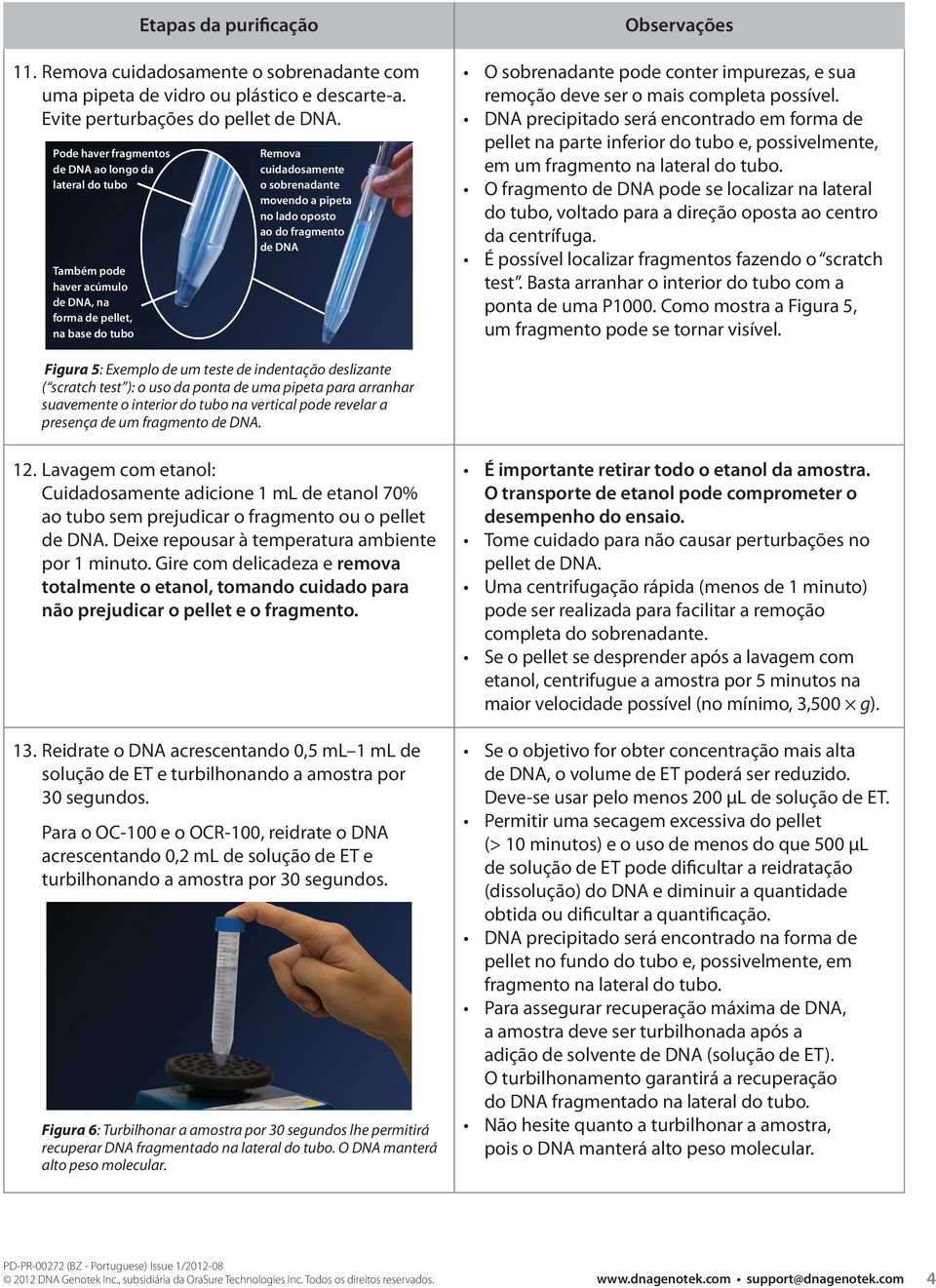 do fragmento de DNA Observações O sobrenadante pode conter impurezas, e sua remoção deve ser o mais completa possível.