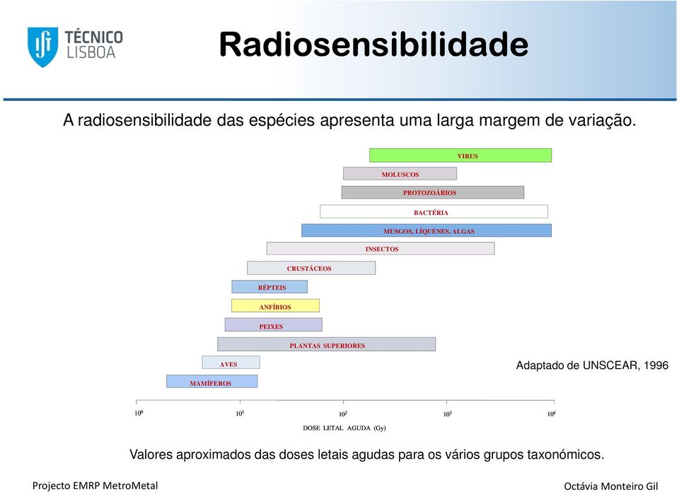 ANFÍBIOS PEIXES PLANTAS SUPERIORES AVES Adaptado de UNSCEAR, 1996 MAMÍFEROS 10 0 10 1 10 2 10 3