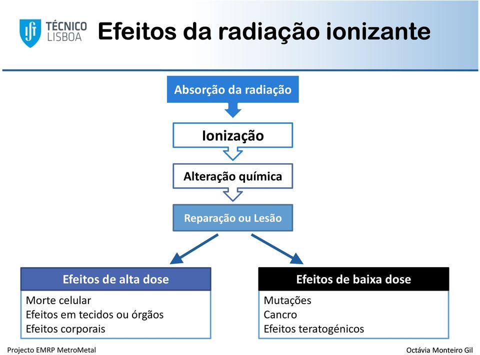 alta dose Morte celular Efeitos em tecidos ou órgãos