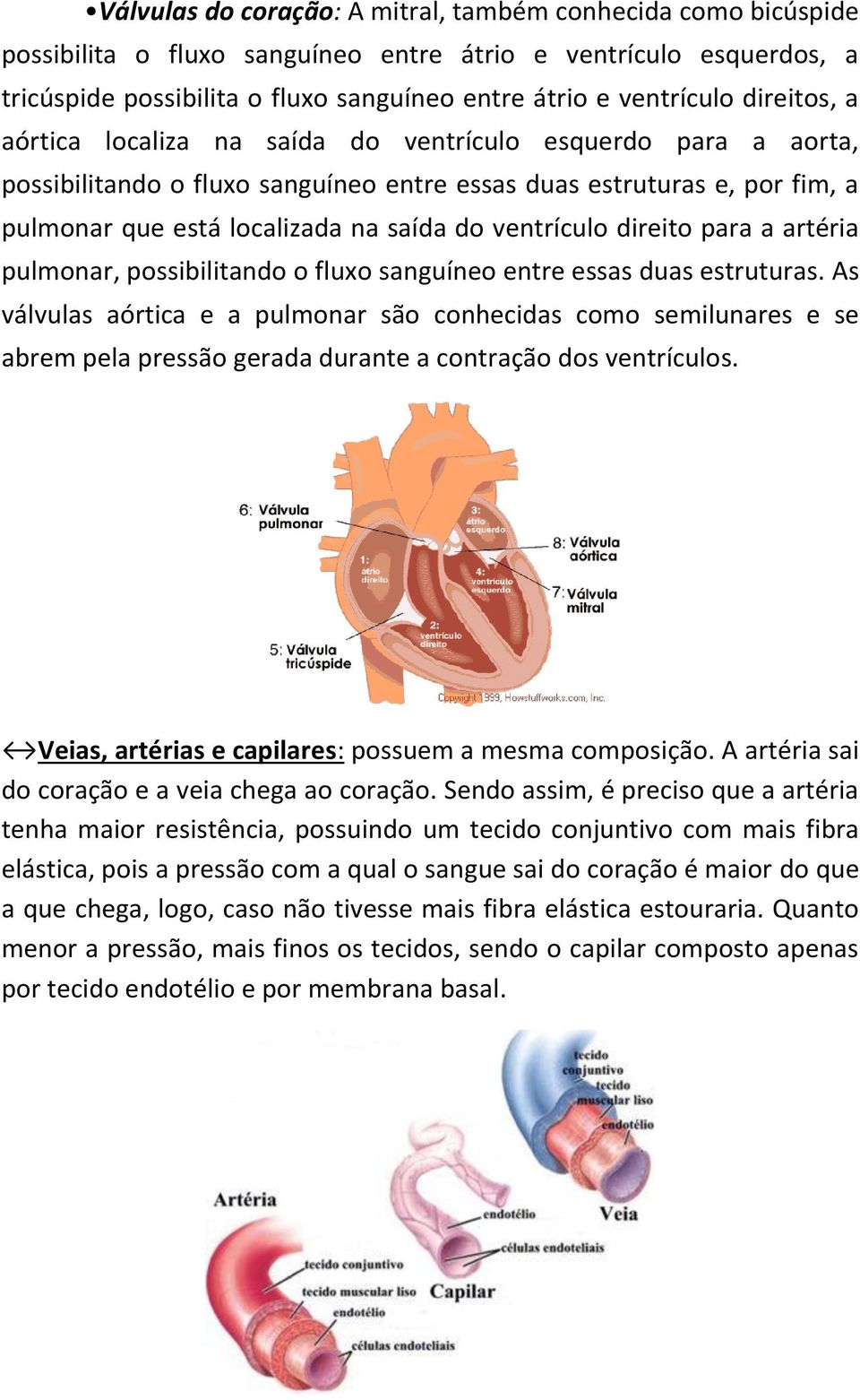 ventrículo direito para a artéria pulmonar, possibilitando o fluxo sanguíneo entre essas duas estruturas.