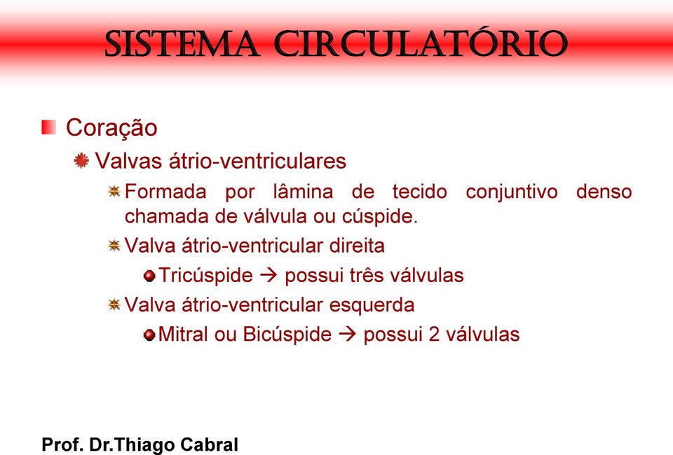 Valva átrio-ventricular direita Tricúspide possui três