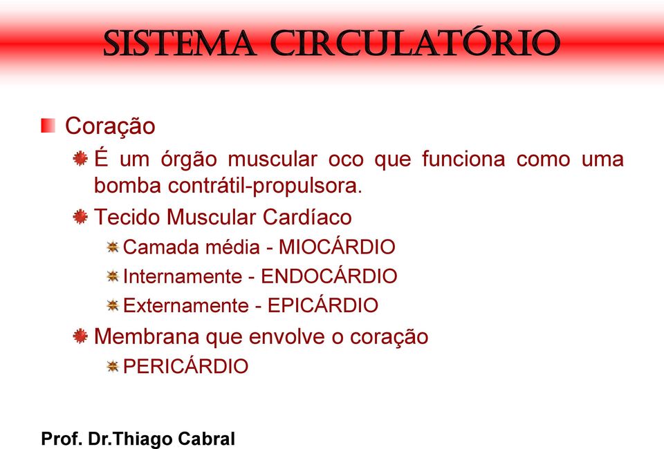 Tecido Muscular Cardíaco Camada média - MIOCÁRDIO