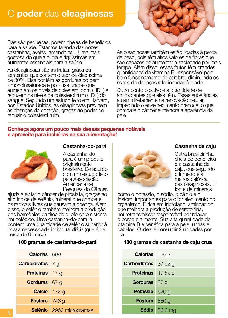 Elas contêm as gorduras do bem - monoinsaturada e poli-insaturada- que aumentam os níveis de colesterol bom (HDL) e reduzem os níveis de colesterol ruim (LDL) do sangue.