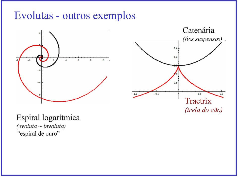 Espiral logarítmica (evoluta ~