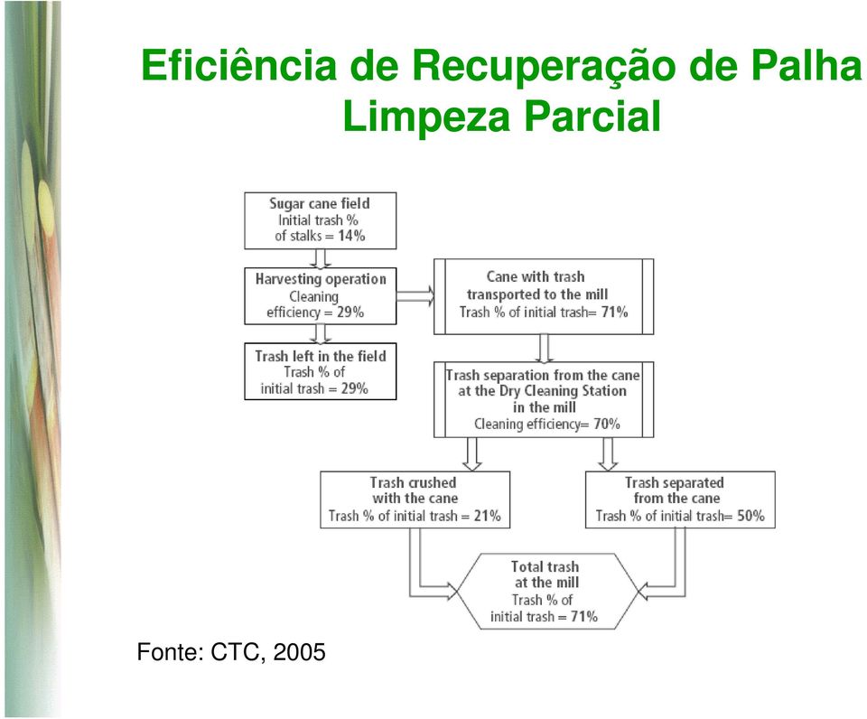 Palha Limpeza