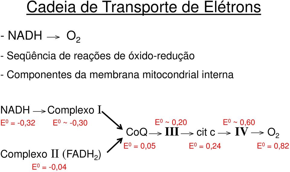 Complexo I E 0 = -0,32 E 0 ~ -0,30 Complexo II (FADH 2 ) E 0 = -0,04