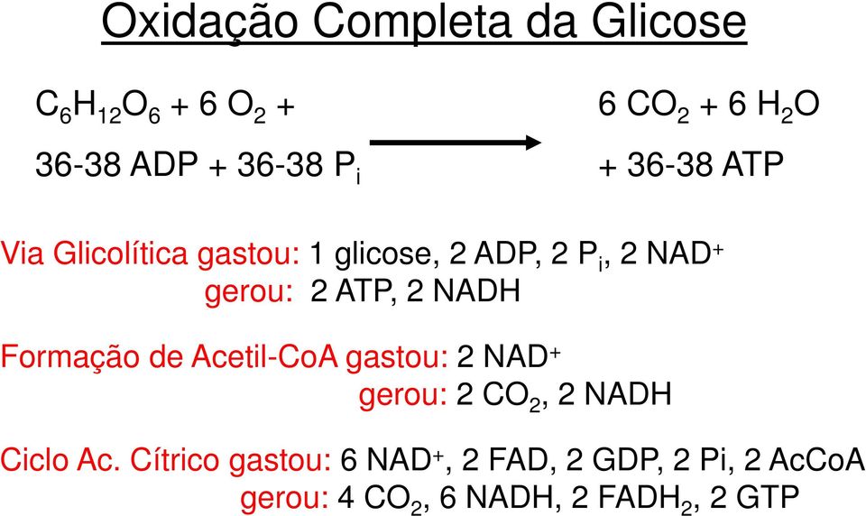2 ATP, 2 NADH Formação de Acetil-CoA gastou: 2 NAD + gerou: 2 CO 2, 2 NADH Ciclo Ac.