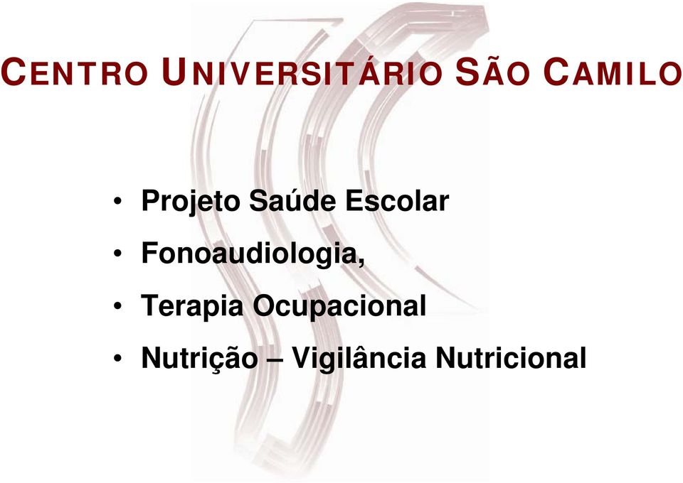 Fonoaudiologia, Terapia