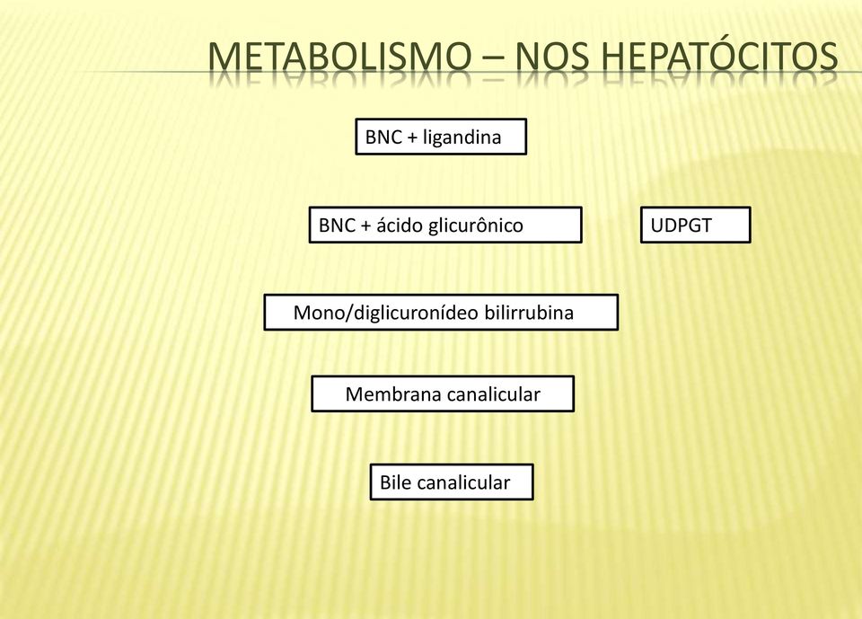 UDPGT Mono/diglicuronídeo