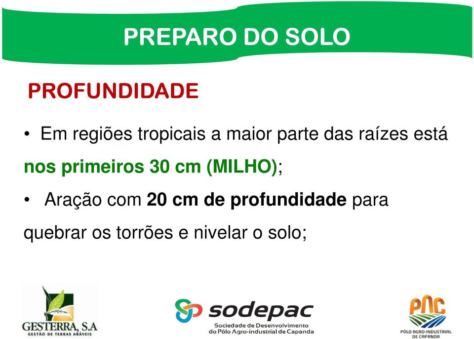 primeiros 30 cm (MILHO); Aração com 20 cm de