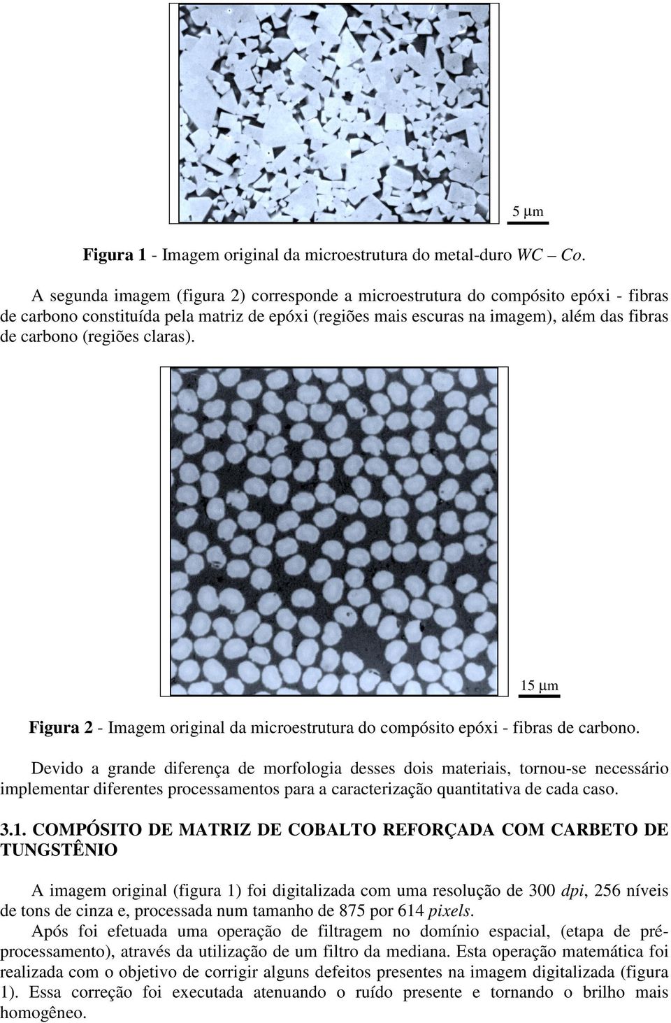 claras). 15 µm Figura 2 - Imagem original da microestrutura do compósito epóxi - fibras de carbono.