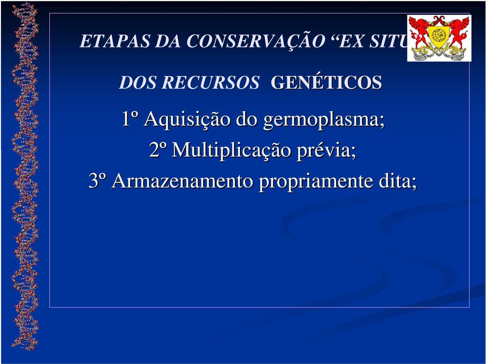 germoplasma; 2º Multiplicação