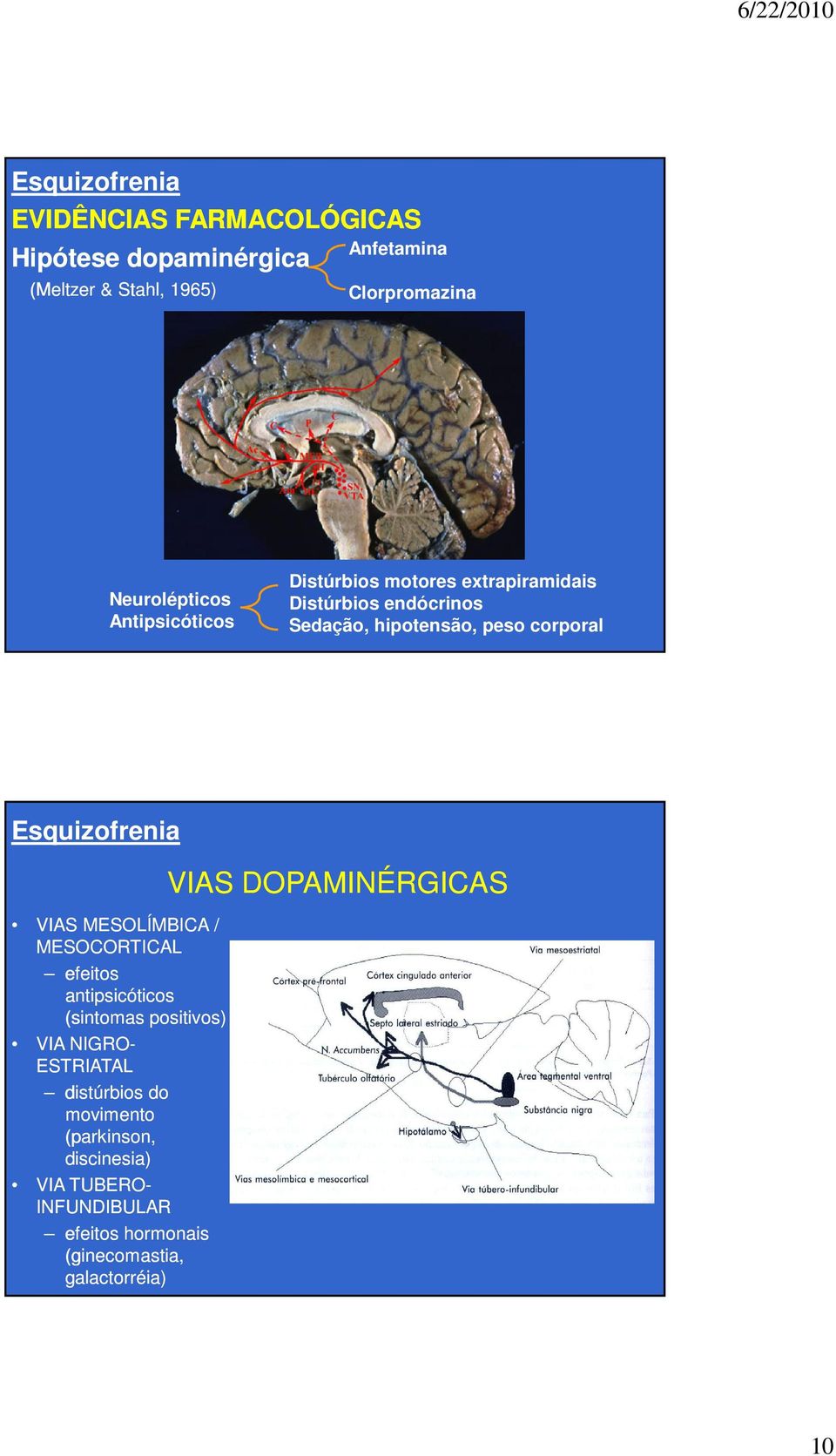 MESOLÍMBICA / MESOCORTICAL efeitos antipsicóticos (sintomas positivos) VIA NIGRO- ESTRIATAL distúrbios do