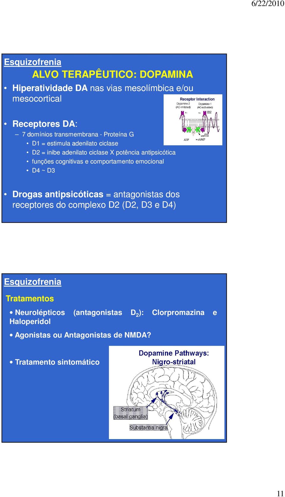 cognitivas e comportamento emocional D4 ~ D3 Drogas antipsicóticas = antagonistas dos receptores do complexo D2 (D2, D3 e