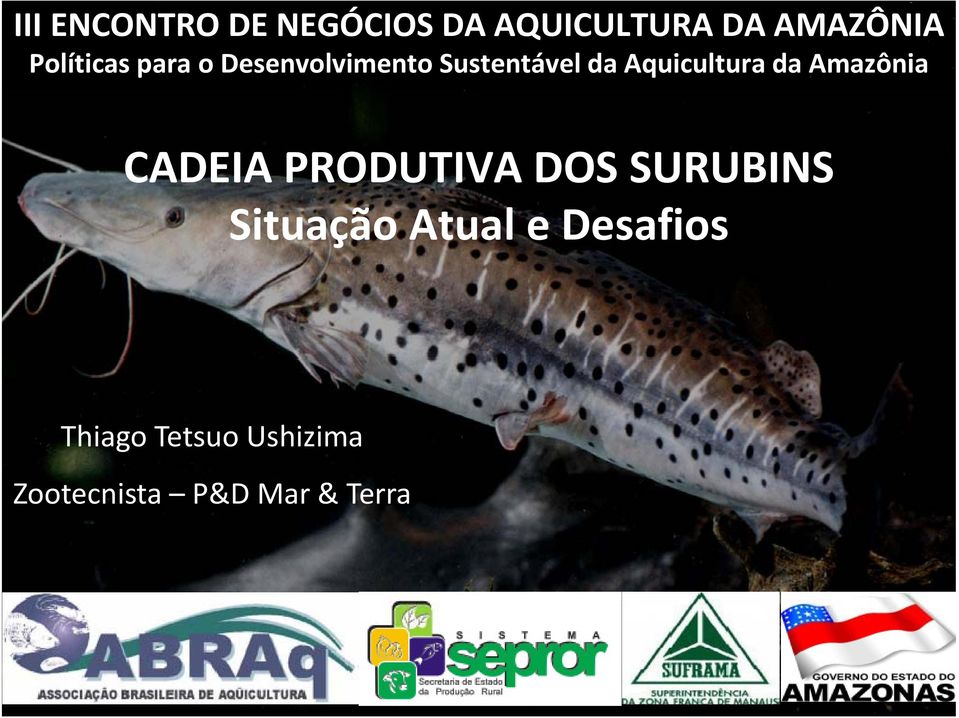 Aquicultura da Amazônia CADEIA PRODUTIVA DOS SURUBINS