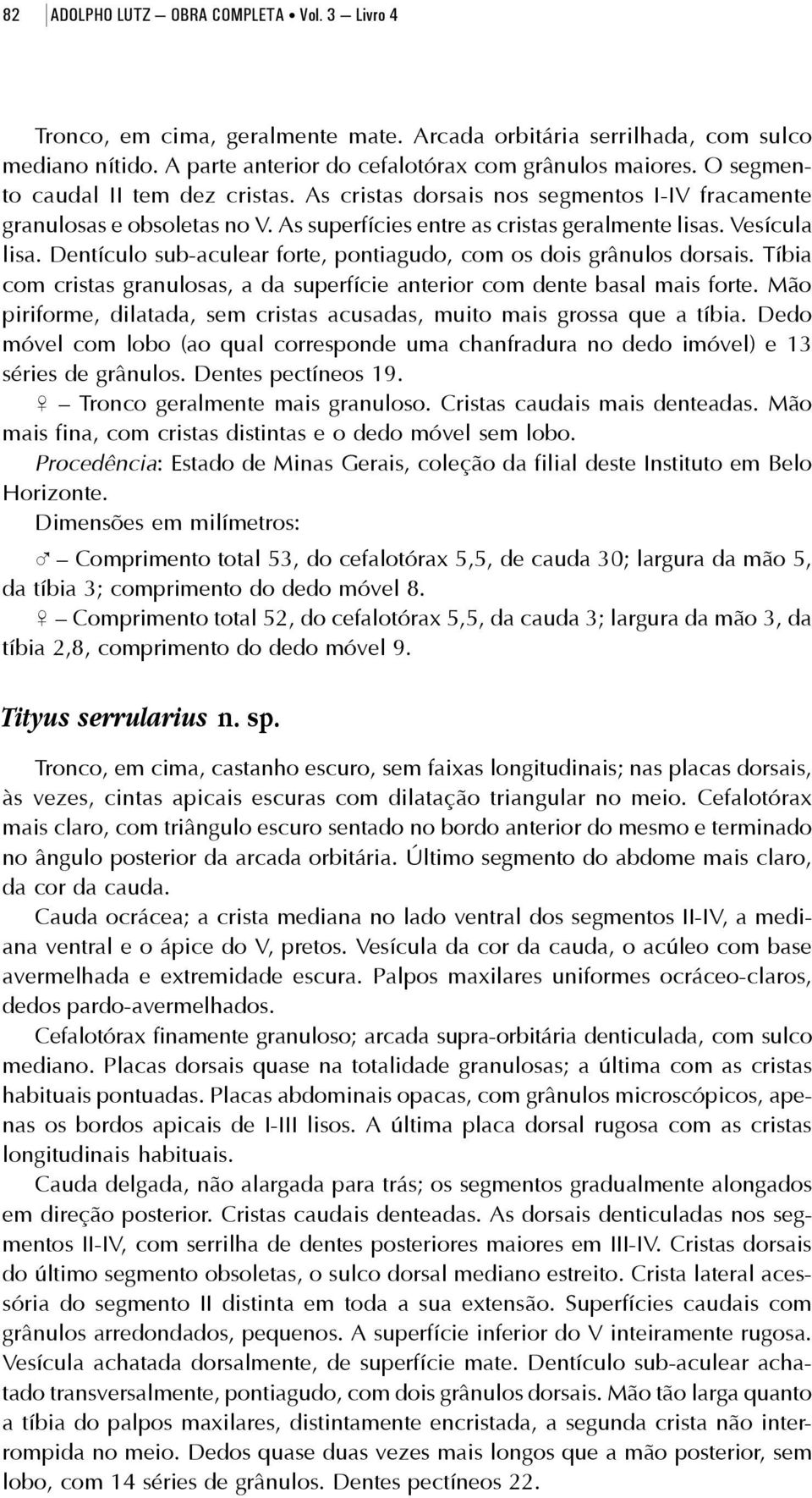 Dentículo sub-aculear forte, pontiagudo, com os dois grânulos dorsais. Tíbia com cristas granulosas, a da superfície anterior com dente basal mais forte.