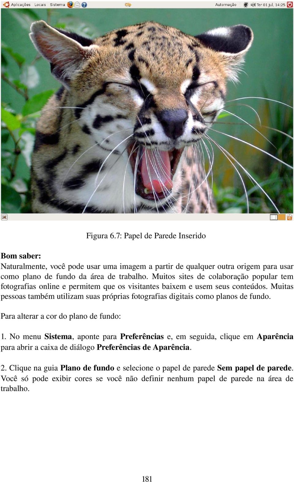 Muitas pessoas também utilizam suas próprias fotografias digitais como planos de fundo. Para alterar a cor do plano de fundo: 1.