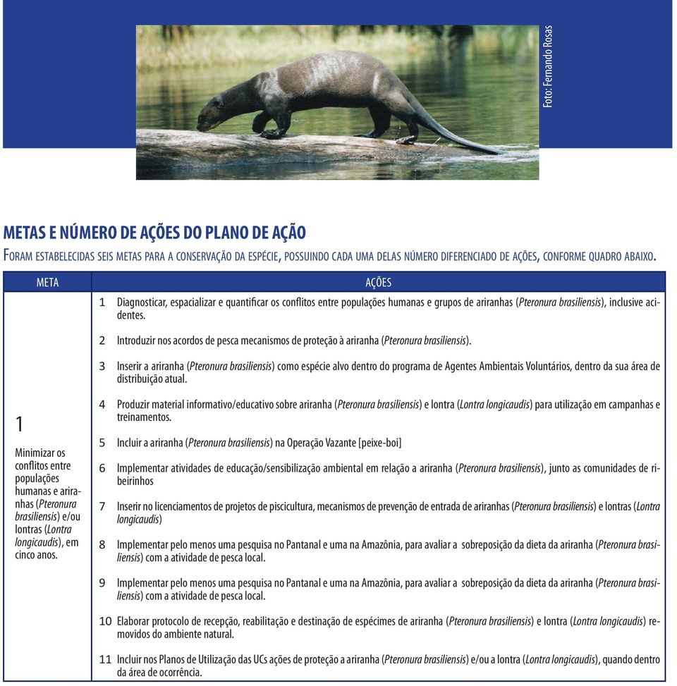 2 Introduzir nos acordos de pesca mecanismos de proteção à ariranha (Pteronura brasiliensis).