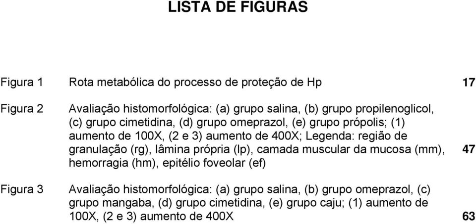 granulação (rg), lâmina própria (lp), camada muscular da mucosa (mm), hemorragia (hm), epitélio foveolar (ef) 47 Figura 3 Avaliação