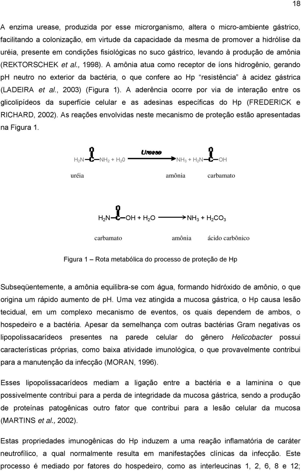 A amônia atua como receptor de íons hidrogênio, gerando ph neutro no exterior da bactéria, o que confere ao Hp resistência à acidez gástrica (LADEIRA et al., 2003) (Figura 1).