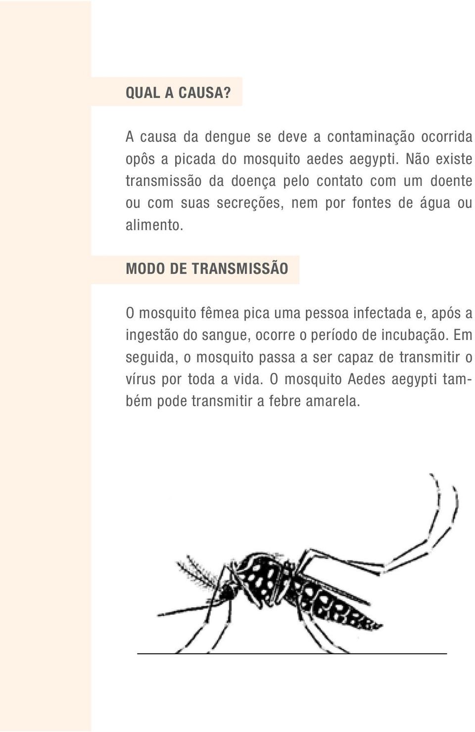 Modo de transmissão O mosquito fêmea pica uma pessoa infectada e, após a ingestão do sangue, ocorre o período de incubação.