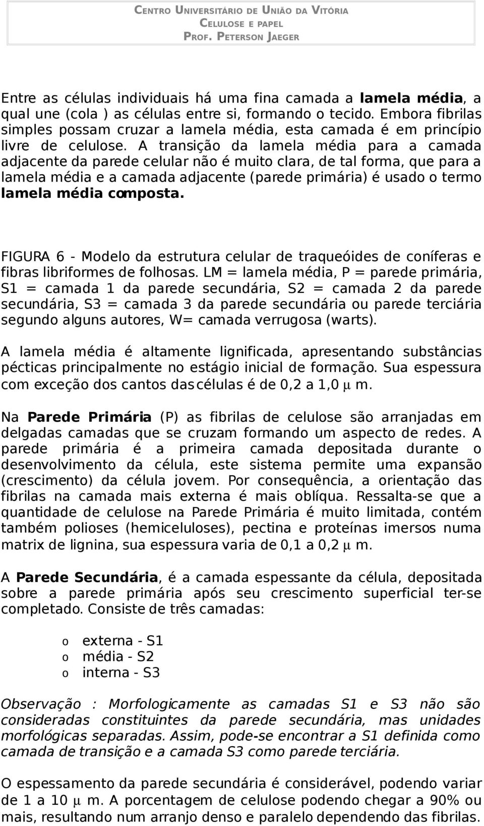 A transição da lamela média para a camada adjacente da parede celular não é muito clara, de tal forma, que para a lamela média e a camada adjacente (parede primária) é usado o termo lamela média