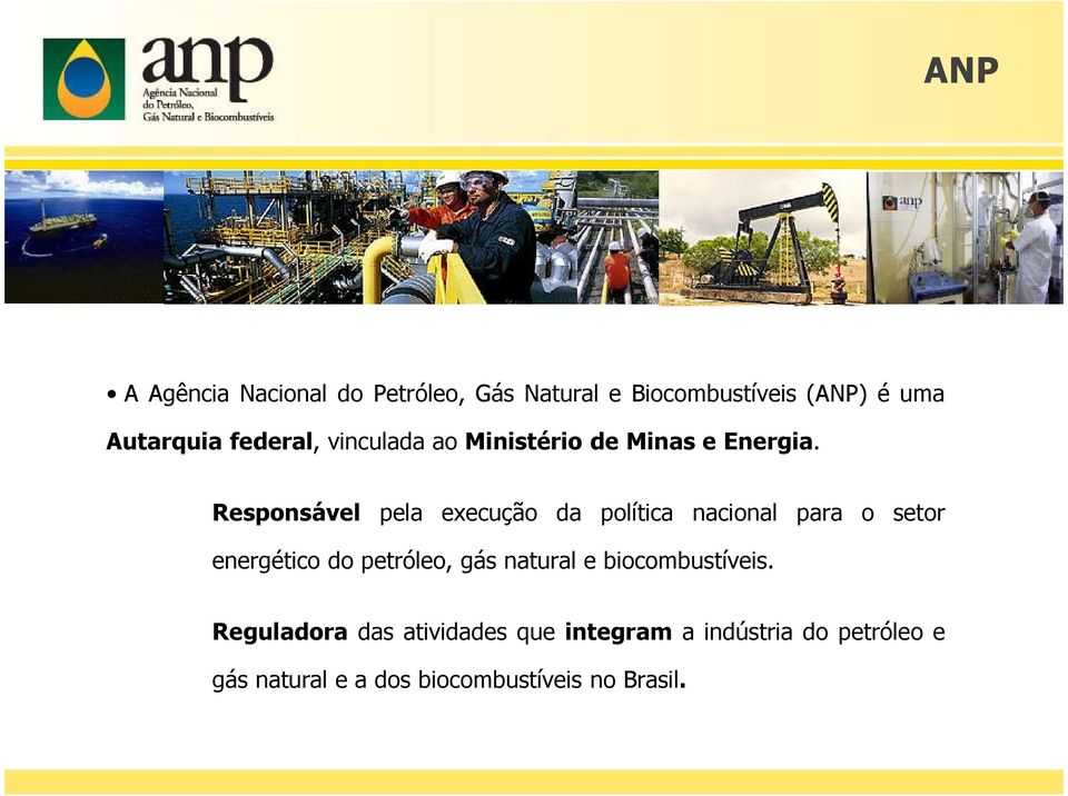 Responsável pela execução da política nacional para o setor energético do petróleo, gás