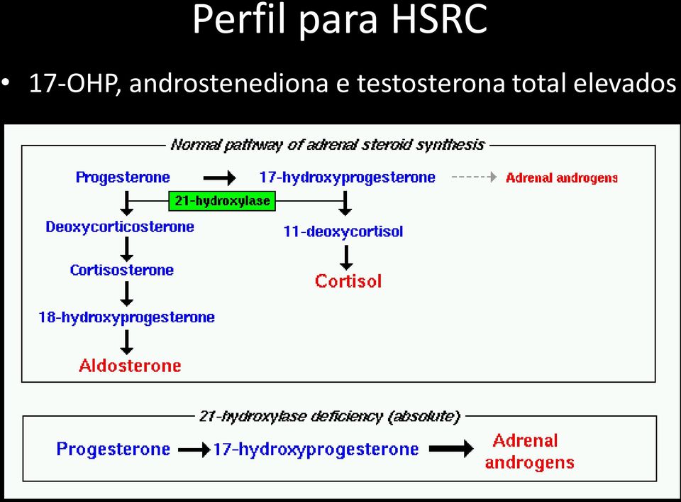 androstenediona e