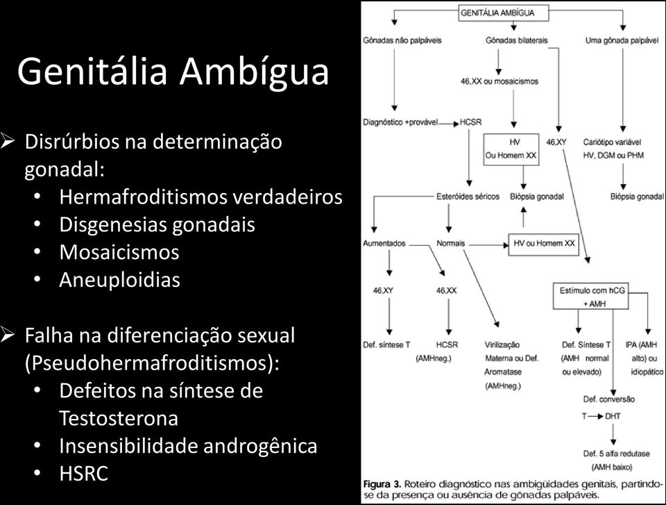 Aneuploidias Falha na diferenciação sexual