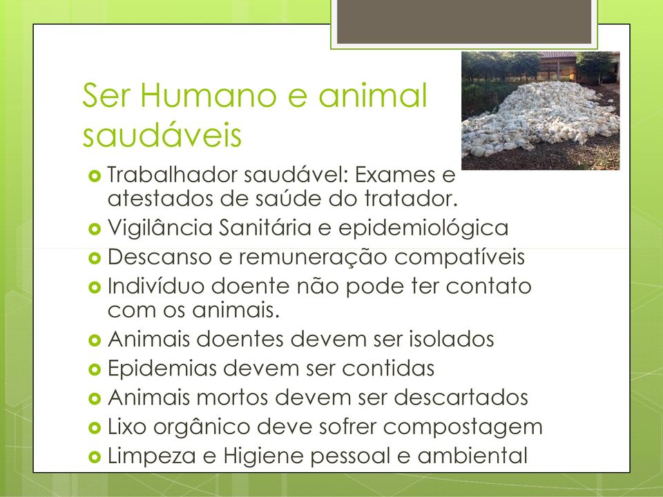 ter contato com os animais.