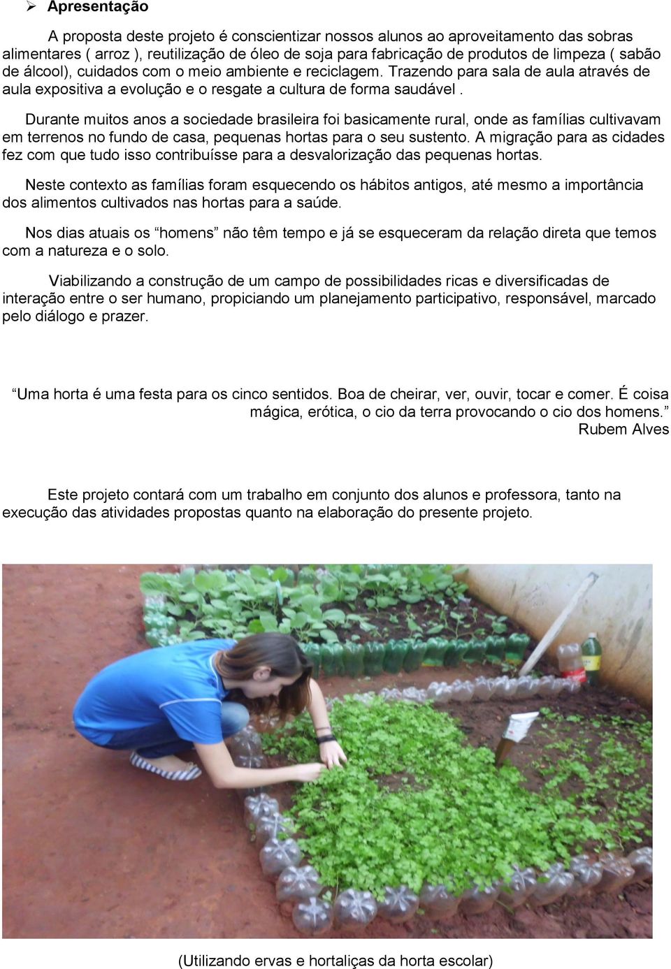 Durante muitos anos a sociedade brasileira foi basicamente rural, onde as famílias cultivavam em terrenos no fundo de casa, pequenas hortas para o seu sustento.