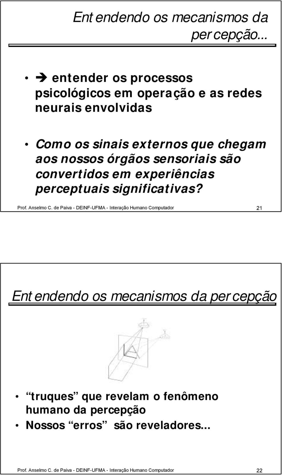 órgãos sensoriais são convertidos em experiências perceptuais significativas? Prof. Anselmo C.