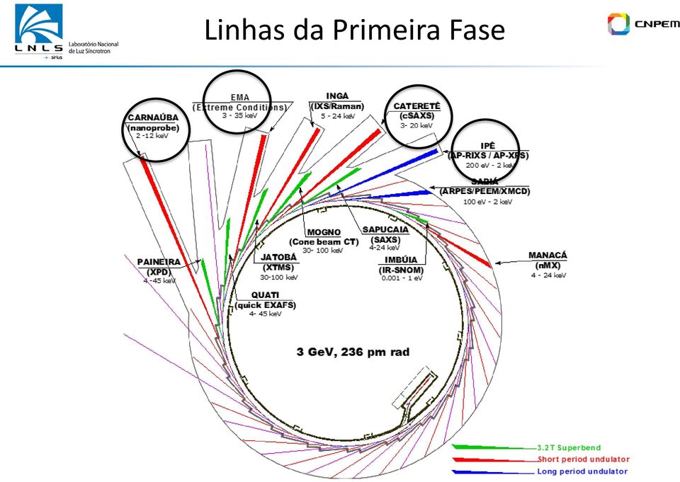 Fase