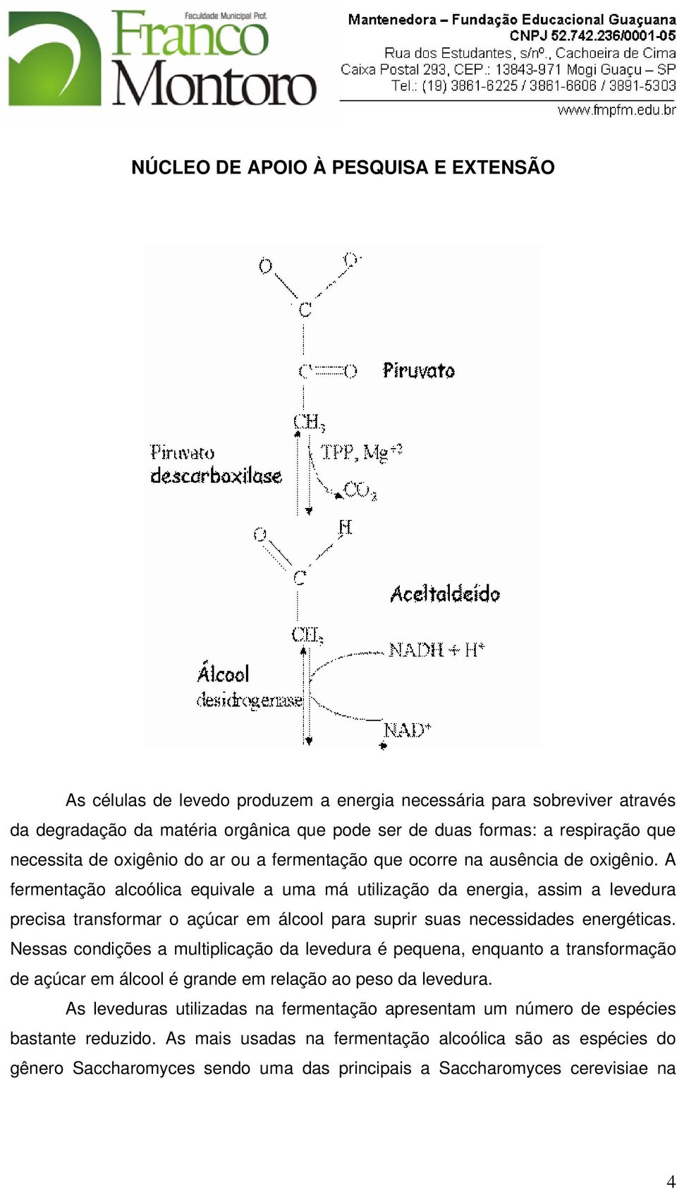 A fermentação alcoólica equivale a uma má utilização da energia, assim a levedura precisa transformar o açúcar em álcool para suprir suas necessidades energéticas.