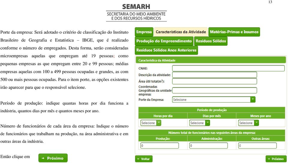 e grandes, as com 500 ou mais pessoas ocupadas. Para o item porte, as opções existentes irão aparecer para que o responsável selecione.