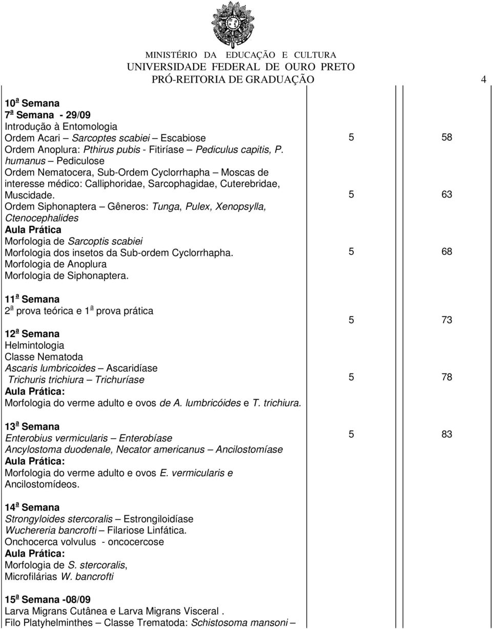 Ordem Siphonaptera Gêneros: Tunga, Pulex, Xenopsylla, Ctenocephalides Morfologia de Sarcoptis scabiei Morfologia dos insetos da Sub-ordem Cyclorrhapha.