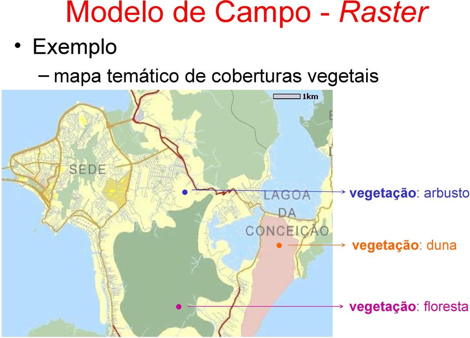 coberturas vegetais vegetação: