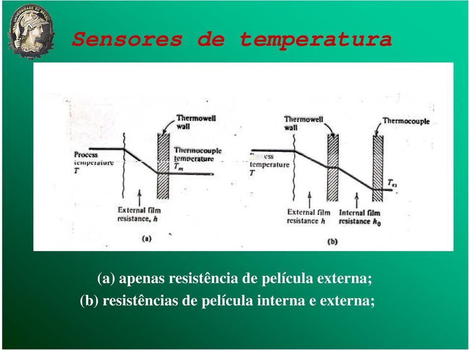 película externa; (b)