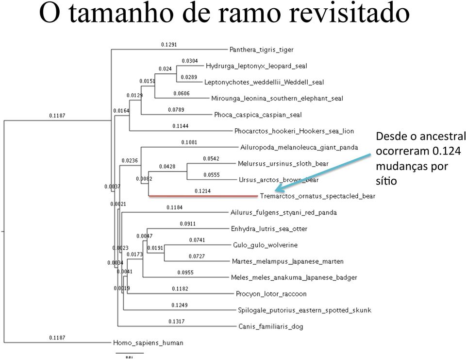 ancestral ocorreram